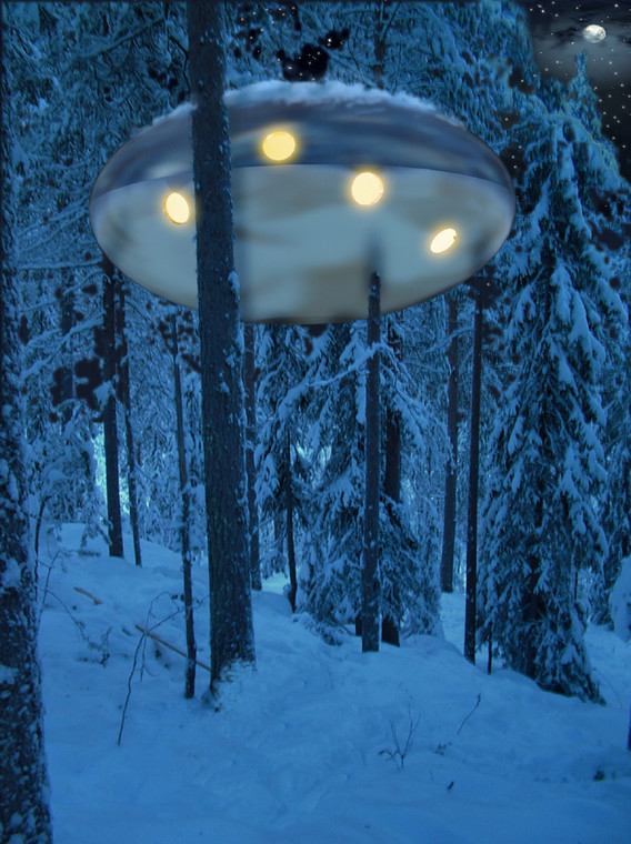 Treehotel, Harads, UFO