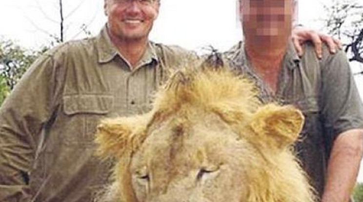 Bankelnököt is üldöznek a lelőtt oroszlán miatt