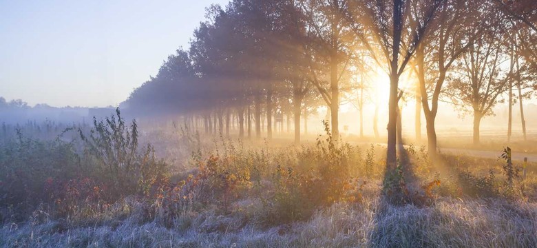 Weekend wiosenny, ale od poniedziałku wraca ZIMA. PROGNOZA POGODY