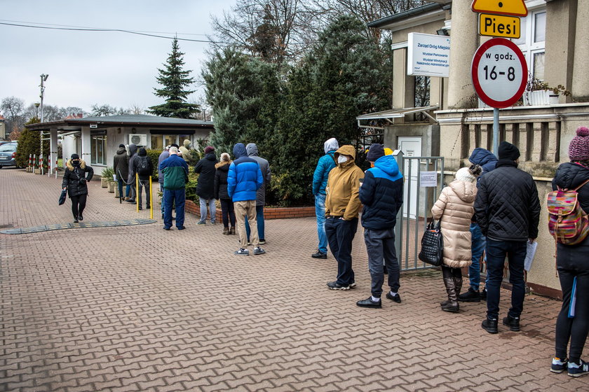 Kolejka po identyfikatory mieszkańca