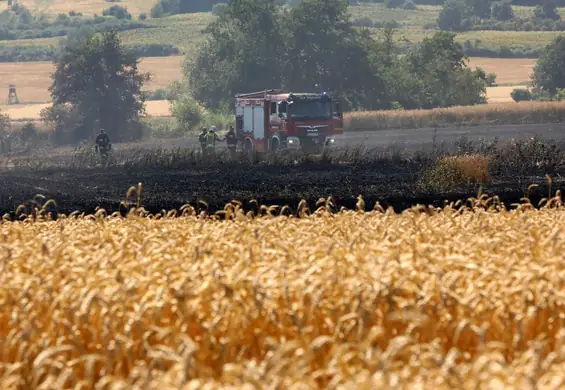 Inflacja cieplna to nowy problem. Upały zmniejszają plony i podwyższają ceny