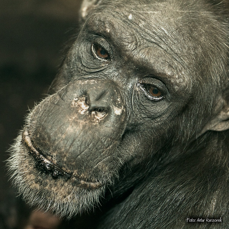 Mama Tytusa (fot. Artur Kaczorek)