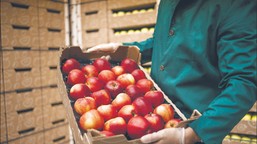 polska idzie na kolejny rekord. świat kupuje od nas coraz więcej żywności