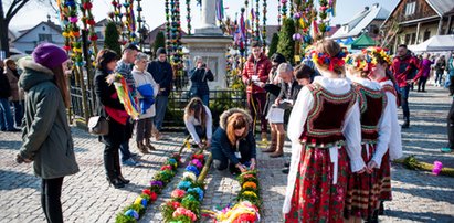 Oto najwyższe palmy w Polsce