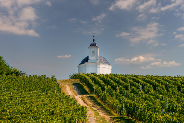 Kaplica wśród pól winorośli w węgierskim regionie Tokaj
