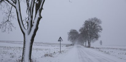 Mroźna fala nad Polską. Nawet -20 st. C! IMGW alarmuje