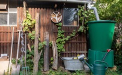 Deszczówka. Czy warto ją zbierać? Jak ją wykorzystać w ogrodzie?