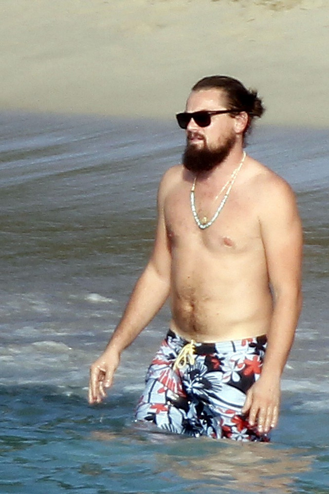 Leonardo DiCaprio