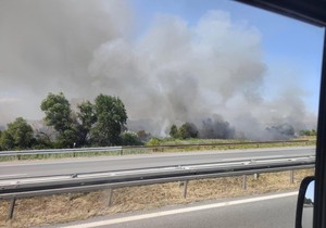 Požar pored auto-puta kod Umčara