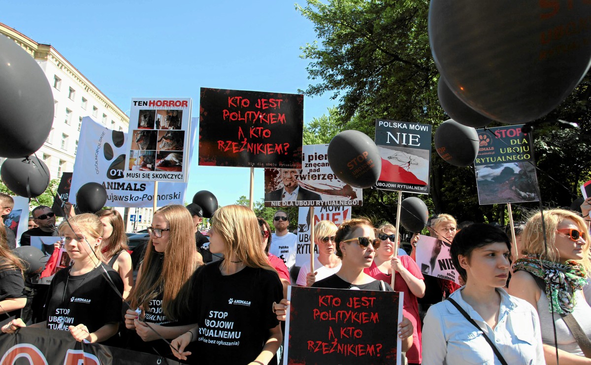 Pikieta przeciwko ubojowi rytualnemu