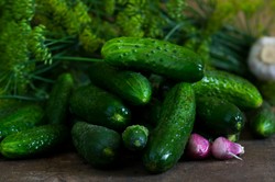 Ekspresowe małosolne. Gotowe w zaledwie kilka godzin