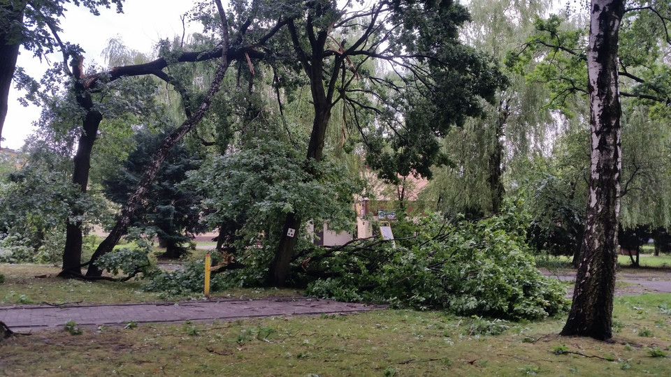 Skutki nawałnic nocnych w miejscowości Leszczyny - zniszczony park leśny