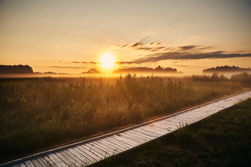 Poleski Park Narodowy