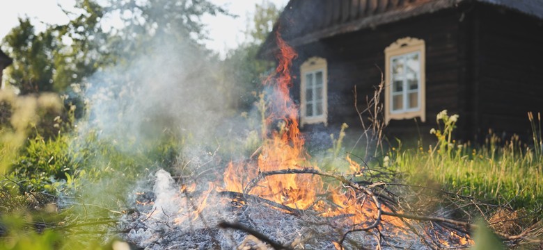 Palenie gałęzi i liści na własnej działce. Kiedy jest zabronione, a kiedy dozwolone?