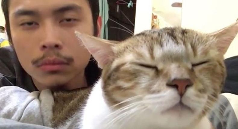 Funky Cat goes viral after dancing to Drake's hit song 