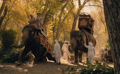 PETA: Na planie 'Westworld' znęcano się nad zwierzętami. HBO odpiera zarzuty