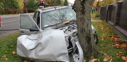 Potworny wypadek. Emerytka zabiła się na drzewie