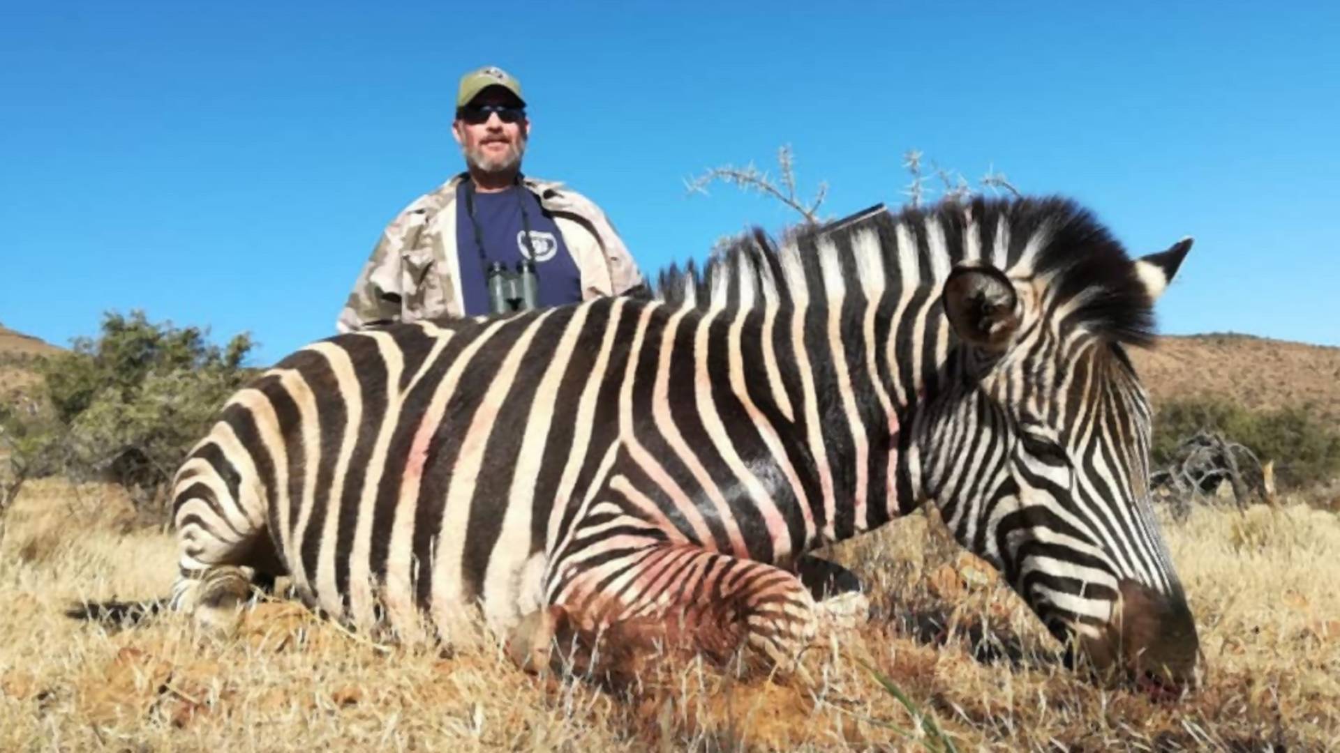 Turisti pózovali so zastrelenými zebrami. Cena za lov trofejí je smiešne nízka