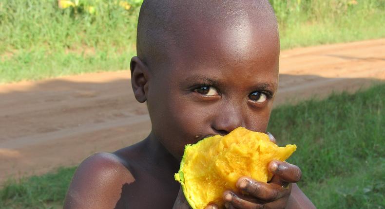 Classy ways to eat mango[WikimediaCommons]