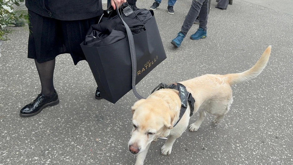 Sahrana Duška Vujoševića