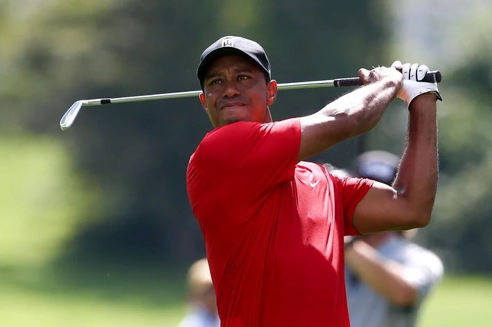 12. Tiger Woods (golf) - 45,2 mln dol.
