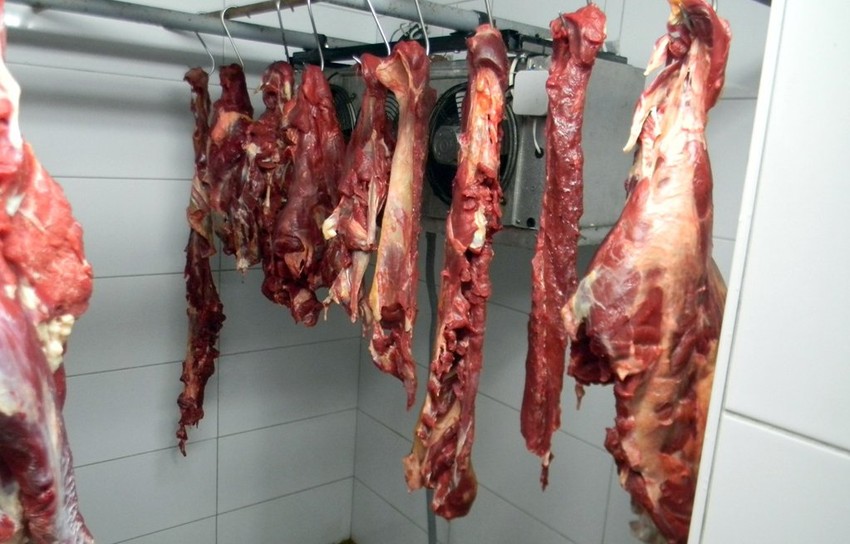 Otkrivena nelegalna klanica u Ratkovu