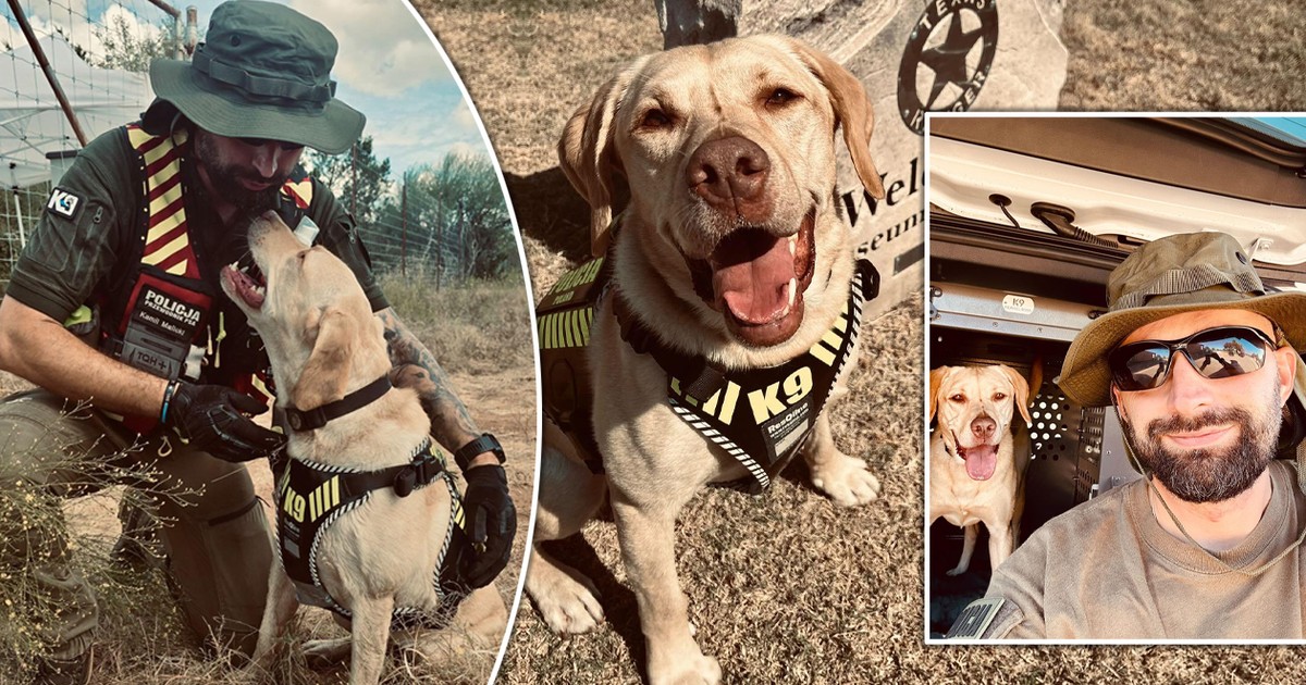 Pies, który wywęszył ciało Mai z Mławy. "Dla niego to nie jest ludzka tragedia"