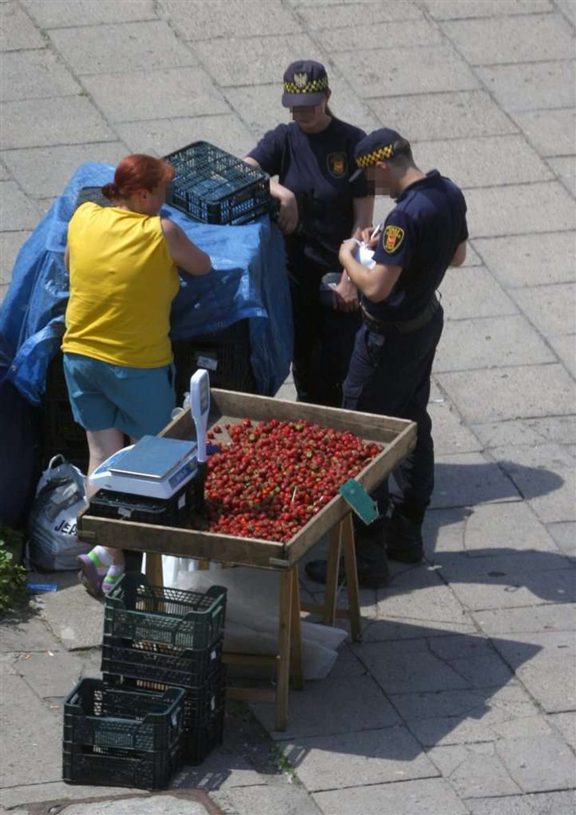 Menele rządzą miastem