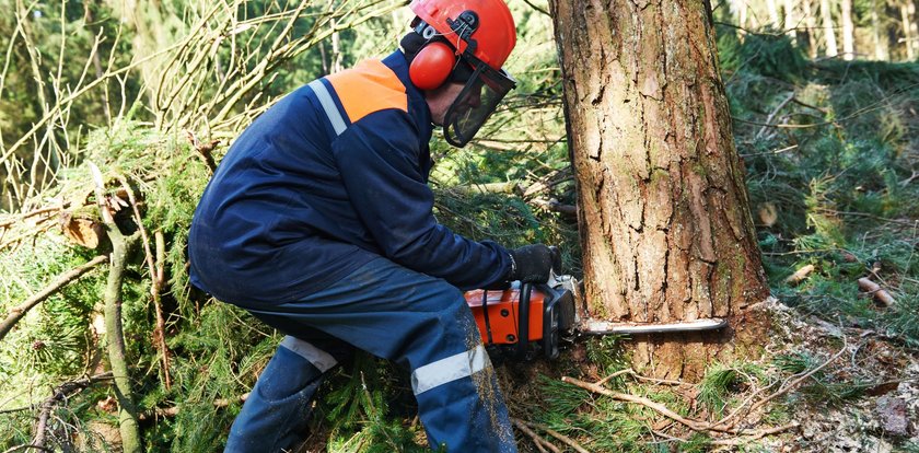 Tragedia w lesie. 40-latek nie żyje