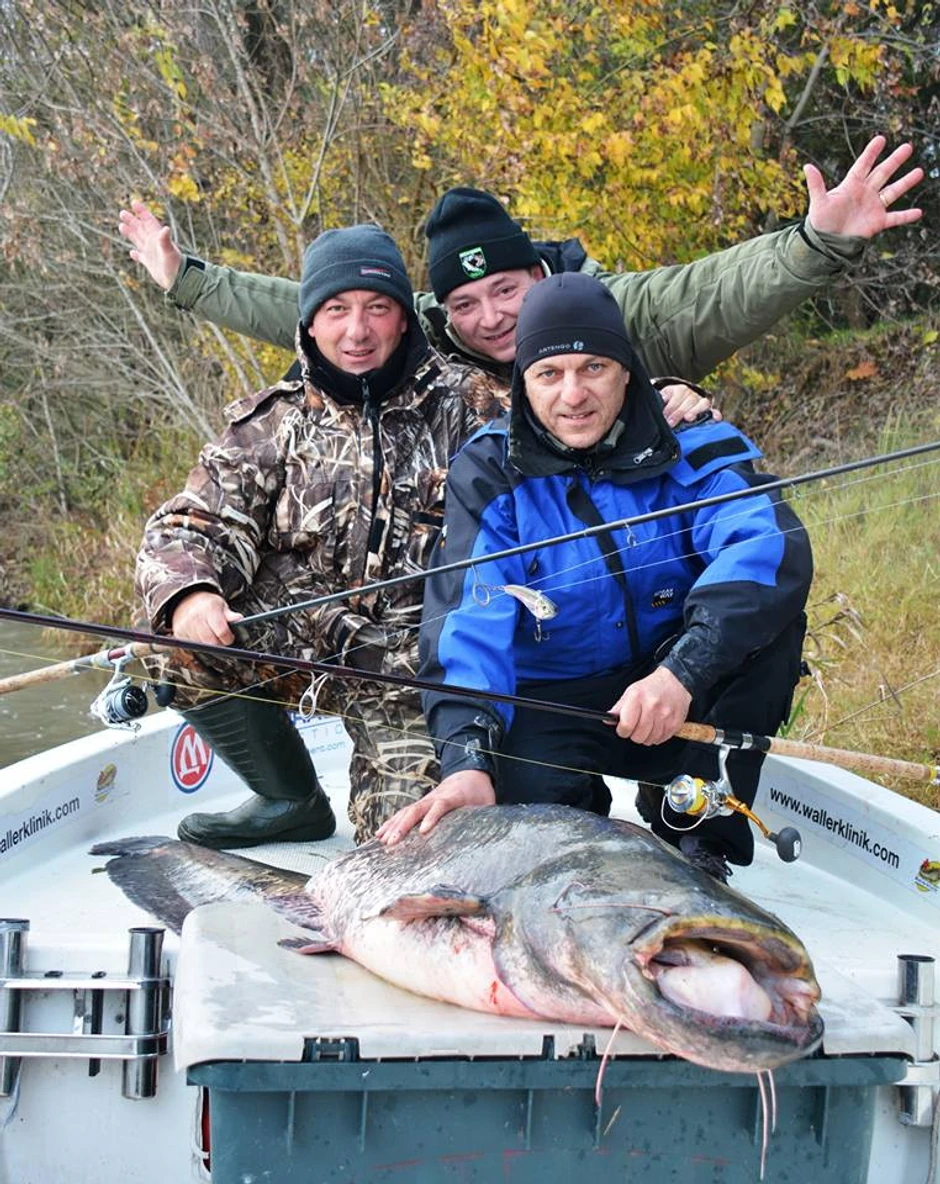 Miodrag Ćirić, Stane Omerzu i Goran Vukosavljević