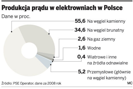 Produkcja prądu w elektrowniach w Polsce