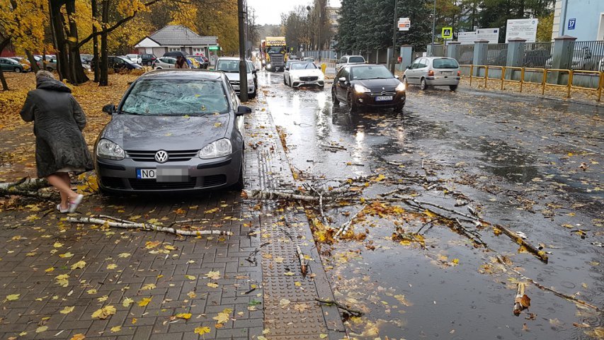 Wichura nad Olsztynem. Na al. Wojska Polskiego na volkswagena spadło drzewo 