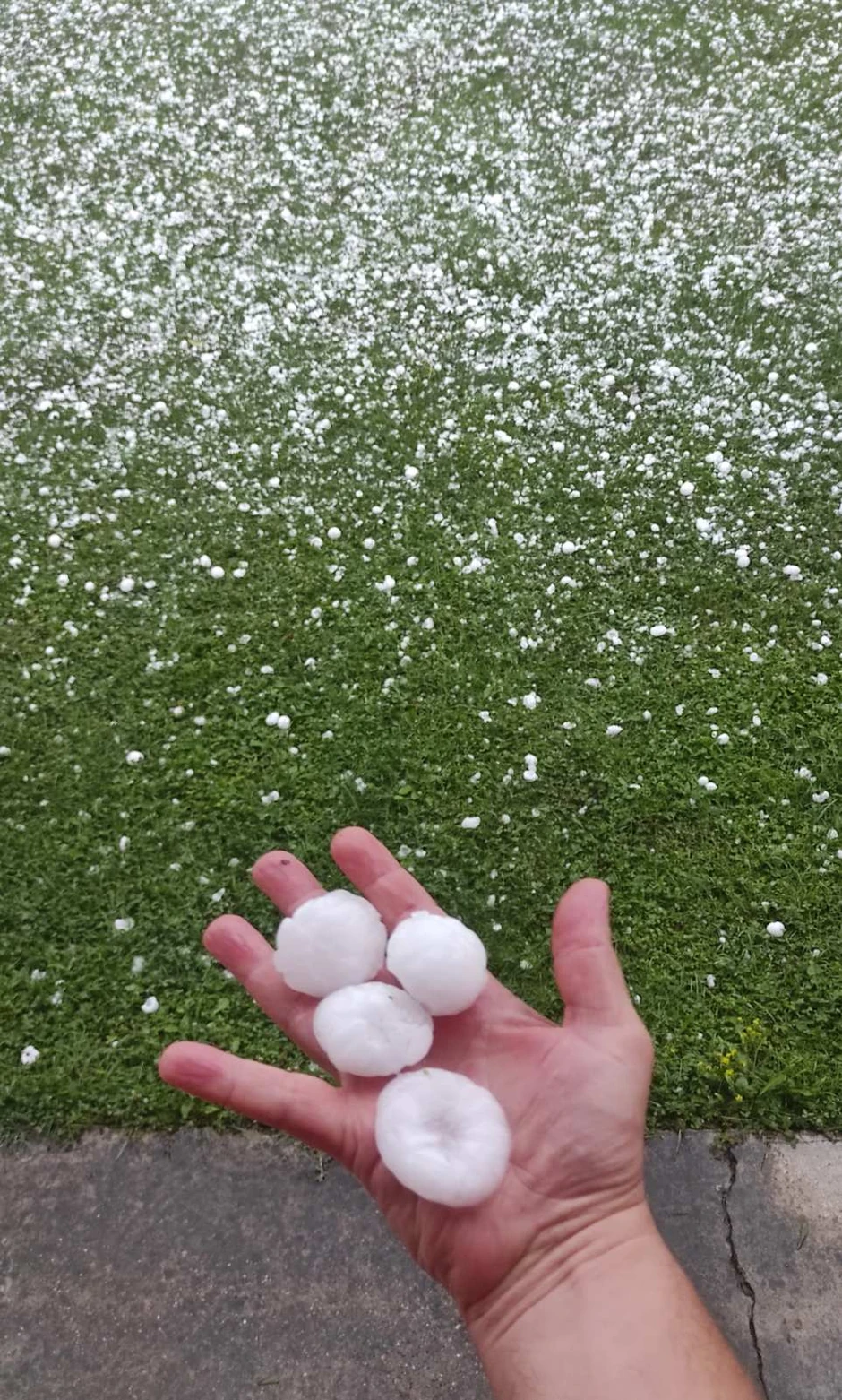 Da nije bilo mreže na prozorima, stakla bi popucala