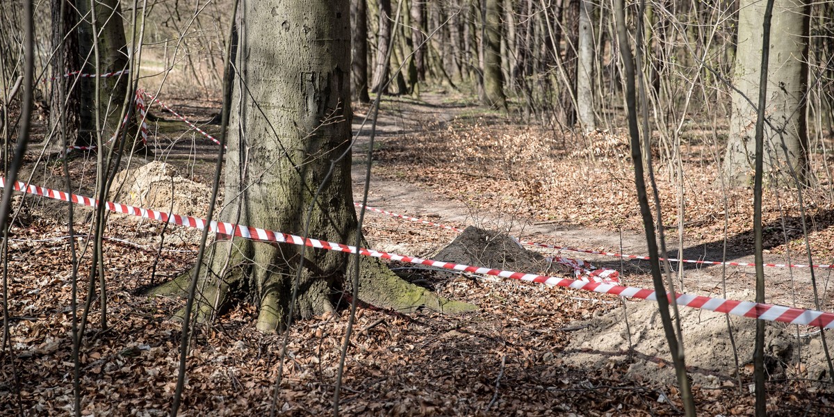 Podlasie. Ludzkie szczątki w lesie koło Czerlonki.