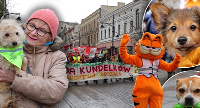 Wyrzucona z auta i znaleziony w lesie. Przy ich historiach pęka serce