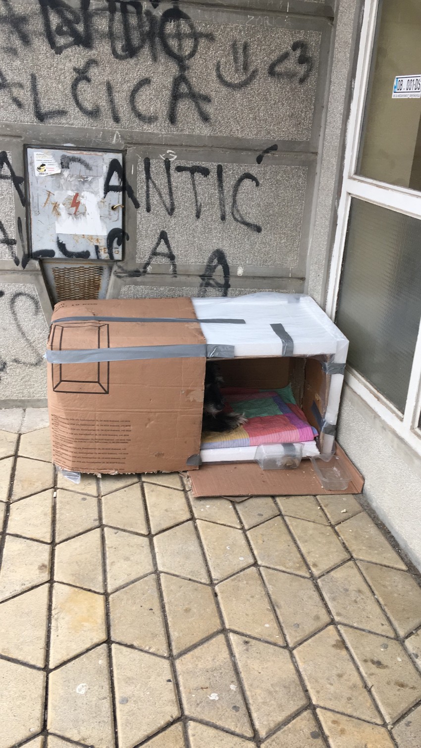 "Imamo humano naselje, jer shvataju ljudi da se može pomoći na razne načine"