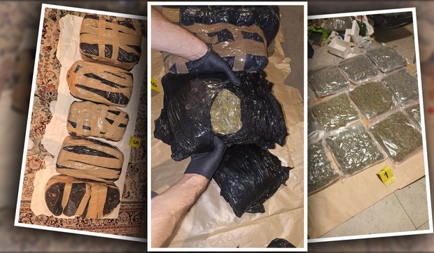 Zaplenjena marihuana