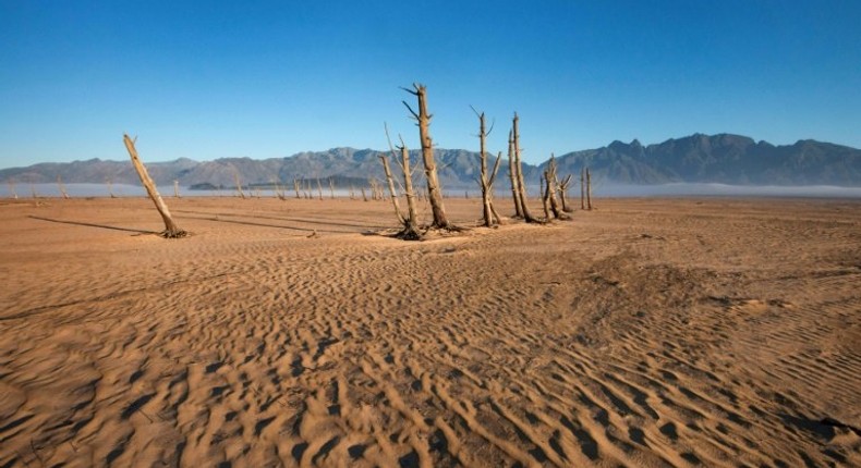 Les records de chaleur de la planète ont provoqué de graves sécheresses dans des endroits comme ici en Afrique du Sud.