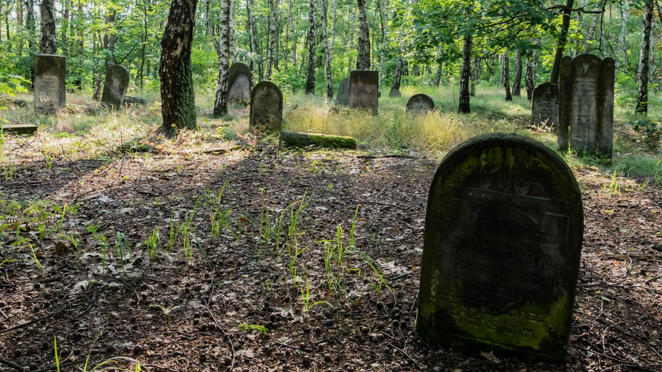 Cmentarz żydowski na Bródnie w Warszawie