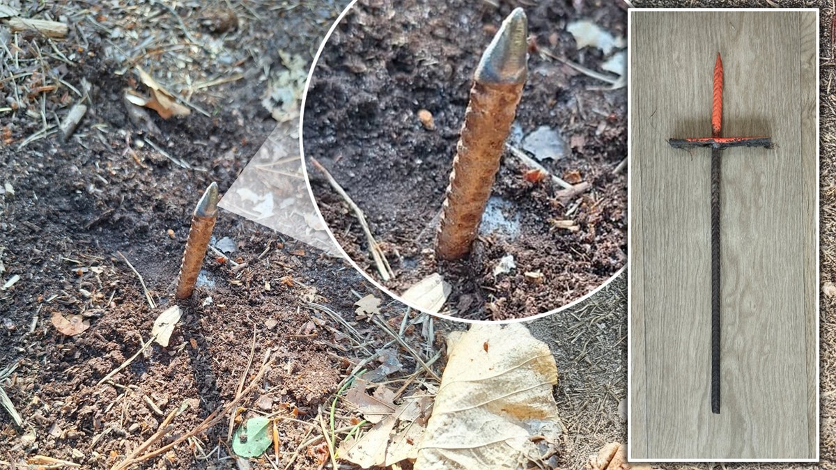 Szokujące odkrycie w lesie. Nadleśnictwo ostrzega. "Ta sytuacja stwarza poważne zagrożenie"