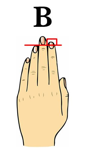 2. Typ B: Palec wskazujący jest dłuższy od serdecznego
