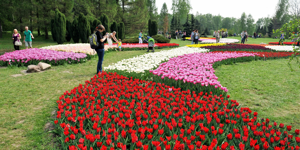 Ogród Botaniczny znów otwarty 