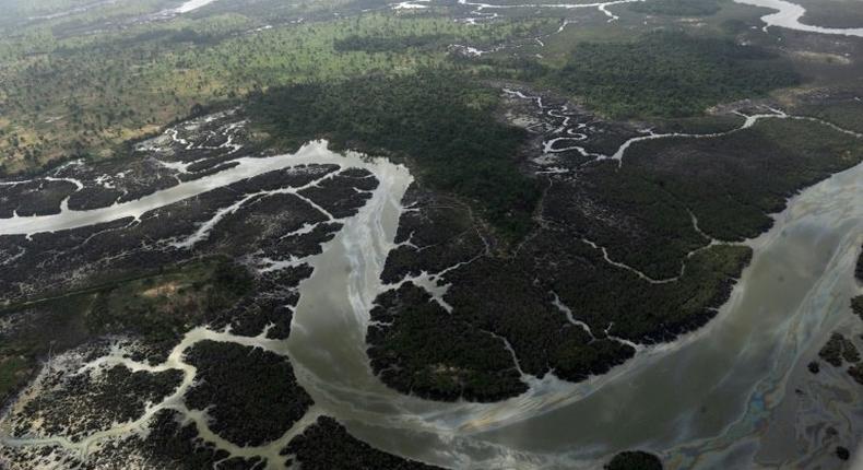An aerial photograph shows creeks and vegetation devastated as a result of spills from oil thieves and Shell operational failures in the Niger Delta, pictured on March 22, 2013
