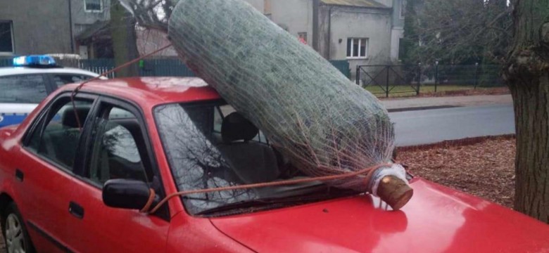 Przewoził choinkę na szybie auta. Pomysł wart prawa jazdy?