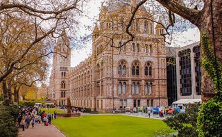 Wielka Brytania: Wynik Partii Pracy w wyborach lokalnych poniżej oczekiwań