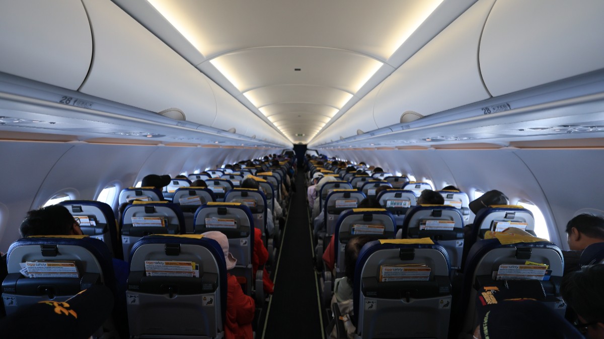 Un șarpe strecurat la bordul unui avion a creat panică printre pasageri și a dus la anularea cursei