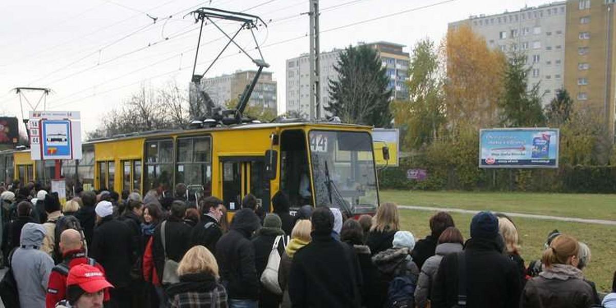 Tłok na przystanku Wierzbno