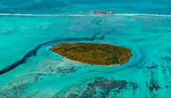 Wyciek ropy u brzegów tropikalnego raju. Japoński armator przeprasza za katastrofę