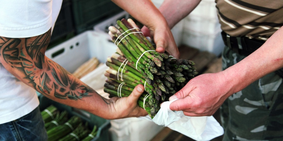 Z sezonu na szparagi cieszą się plantatorzy