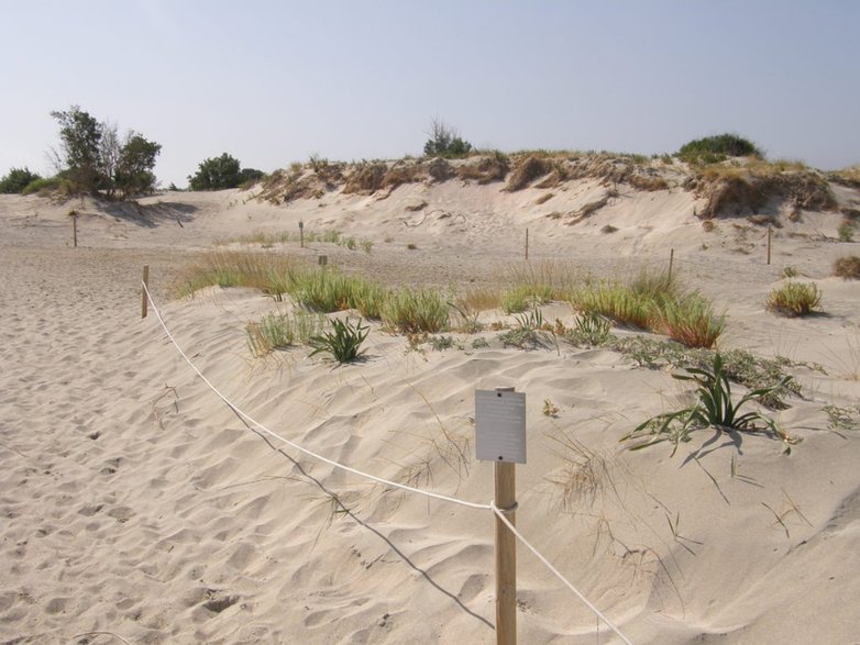 Elafonisi beach